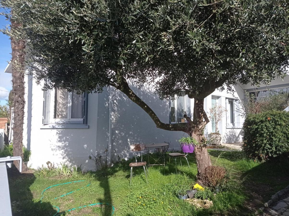 Chambre Meublee Independante, Avec Piscine Et Jardin, 1 Lit Pour 2 Personnes Direct Gare Aeroport 툴루즈 외부 사진